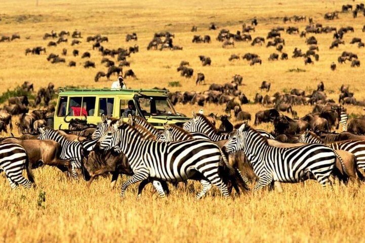 tanzania tourist attractions, zanzibar tourist attractions, serengeti tourist attractions,