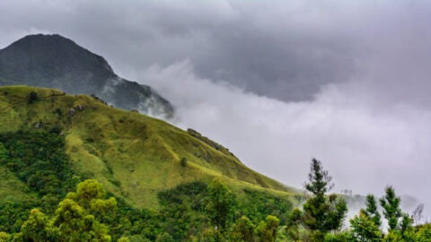 Munnar Also Known As Tea Capital of India During Monsoon in Kerala India | Ice India | Corporate Event Management & Mice Travel Agency Munnar also known as tea capital of India during Monsoon in Kerala India