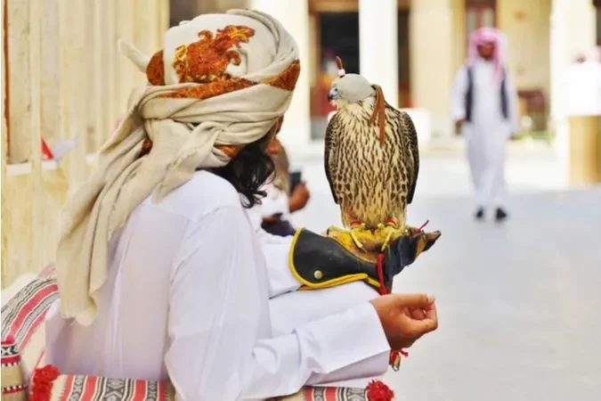 Falconry Qatar | Ice India | Corporate Event Management & Mice Travel Agency Falconry Qatar